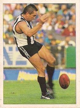 1992 Select AFL Stickers #64 Tony Shaw Front